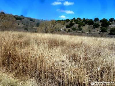 Parque Natural Barranco Río Dulce;ruta de las caras camino del rey malaga lavanda amigos